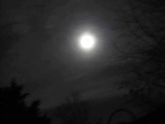 6a00e553bc0a86883401b8d0b87d7a970c